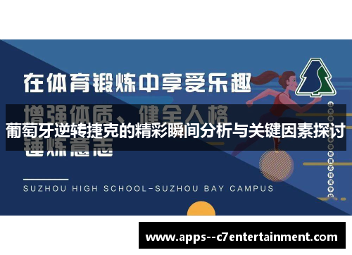 葡萄牙逆转捷克的精彩瞬间分析与关键因素探讨