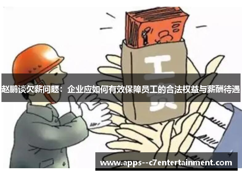 赵鹏谈欠薪问题：企业应如何有效保障员工的合法权益与薪酬待遇