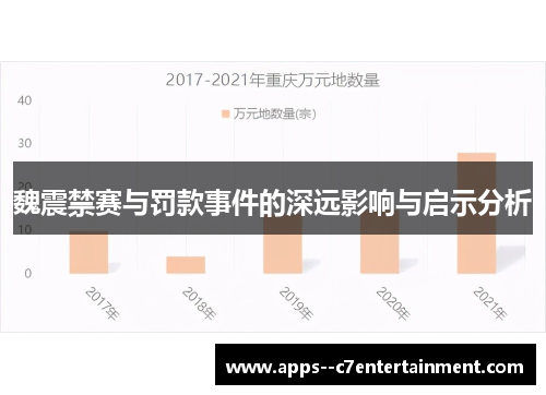 魏震禁赛与罚款事件的深远影响与启示分析