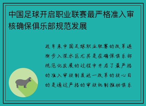 中国足球开启职业联赛最严格准入审核确保俱乐部规范发展