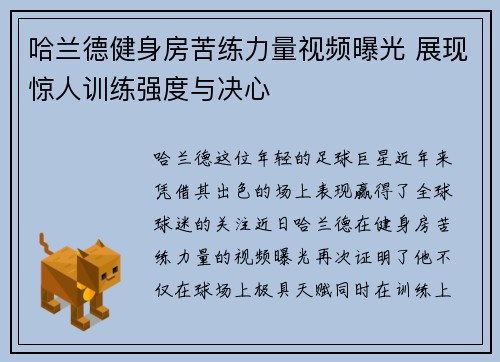 哈兰德健身房苦练力量视频曝光 展现惊人训练强度与决心