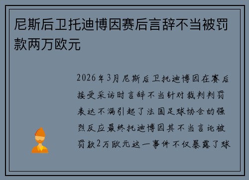 尼斯后卫托迪博因赛后言辞不当被罚款两万欧元